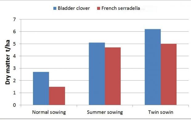 Fig. 1. Dry matter production of Bartolo bladder clover and Margurita  French serradella Twin, Summer and Autumn sown at Brookton in 2015