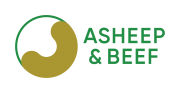 ASHEEP BEEF logo