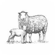 Lambing Planner app icon