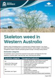 Skeleton weed in Western Australia infosheet 2023
