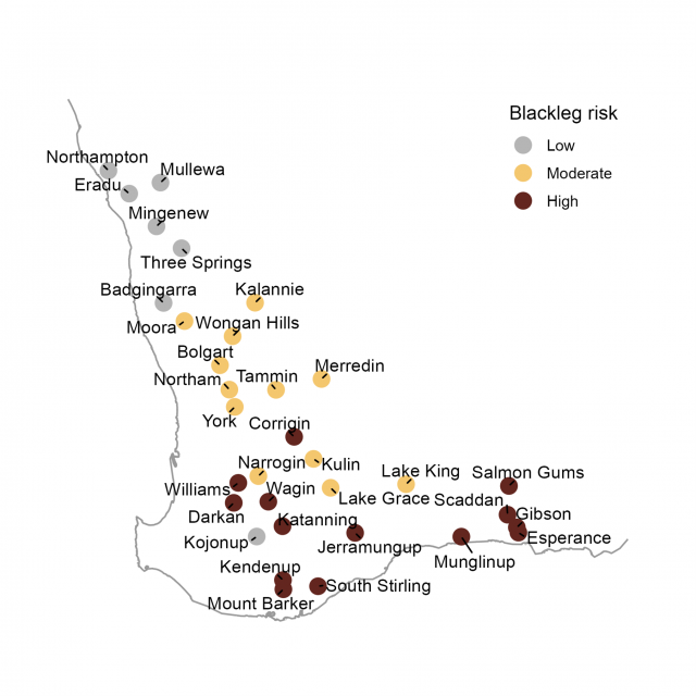Canola blackleg spore shower risk forecast map