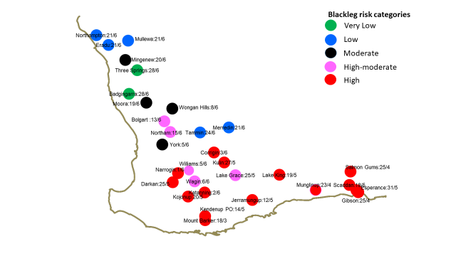Canola Blackleg Spore maturity map