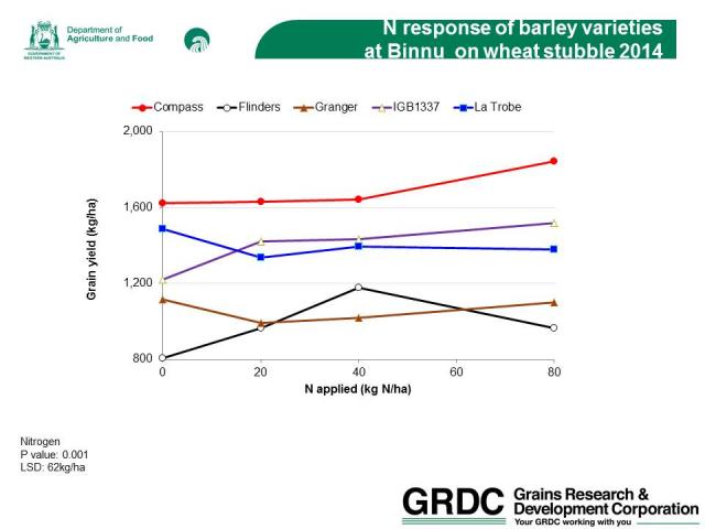 Figure 2 Binnu: Response of barley varieties to nitrogen