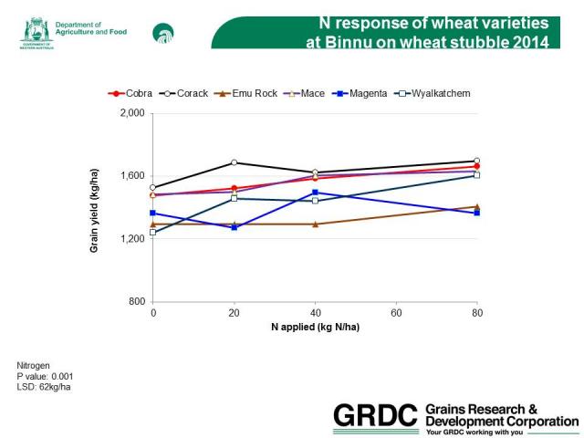 Figure 1 Binnu: Response of wheat varieties to nitrogen