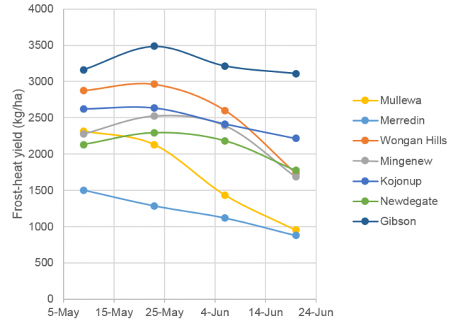 Figure 1. Median simulated yields when sown at different dates at 7 wheatbelt locations after a dry summer