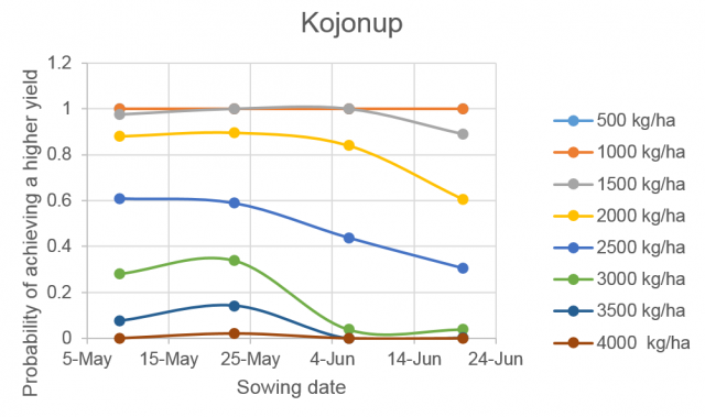 Figure 2f Probability of achieving specified yields at Kojonup in Western Australia after a dry summer