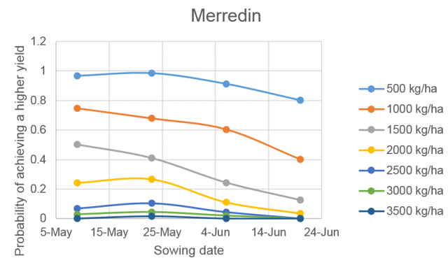 Figure 2c Probability of achieving specified yields at Merredin in Western Australia after a dry summer