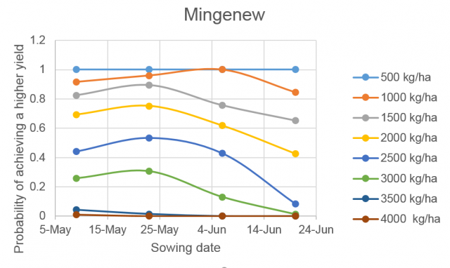 Figure 2b Probability of achieving specified yields at Mingenew in Western Australia after a dry summer