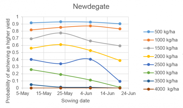 Figure 2e Probability of achieving specified yields at Newdegate in Western Australia after a dry summer