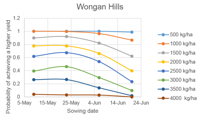 Figure 2d Probability of achieving specified yields at Wongan Hills in Western Australia after a dry summer