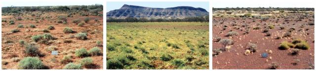 Three photographs of Pilbara pastures in fair condition
