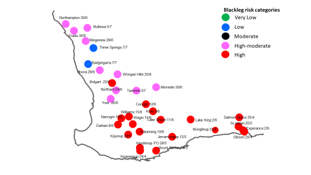 Canola Blackleg Spore maturity map