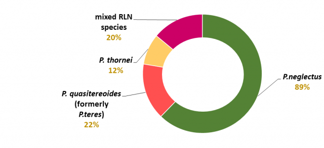 Figure 1. The three species of RLN found in WA and their relative abundance. Note %’s add up to more than 100 as paddocks often have more than one species of nematode.