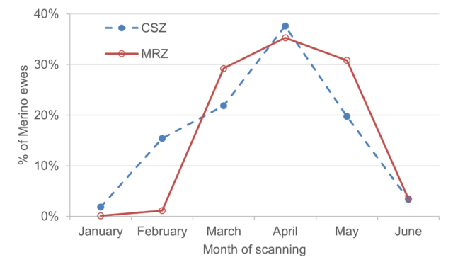  Month of scanning for Merino ewes in the Cereal Sheep Zone (CSZ) and Medium Rainfall Zone (MRZ) in 2023.