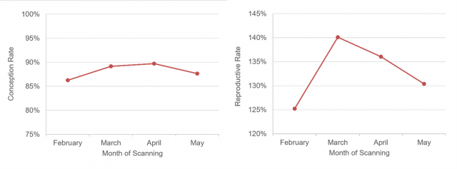 Figure 4a and 4b: Conception rate and reproductive rate by month of scanning for Merino ewes in 2023.