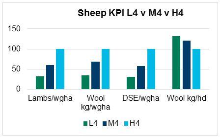 Lambs/wgha - L4 33, M4 60, H4 100. Wool kg/wgha - L4 35, M4 69, H4 100. DSE/egha - L4 31, M4 58, H4 100. Wool kg/hd - L4 131, M4 120, H4 100.