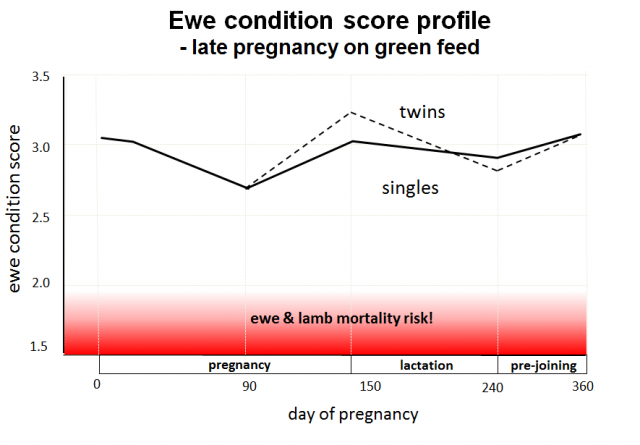 Keep a written record of condition score throughout the ewe's year. Plot the condition score along a timeline.
