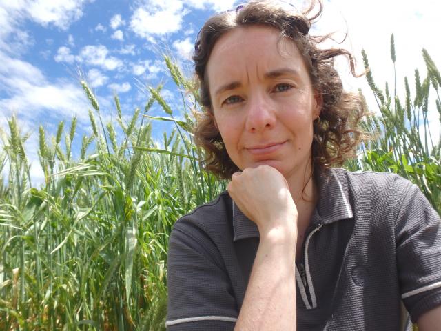 Research Scientist Dr Catherine Borger of DPIRD with some brome grass.