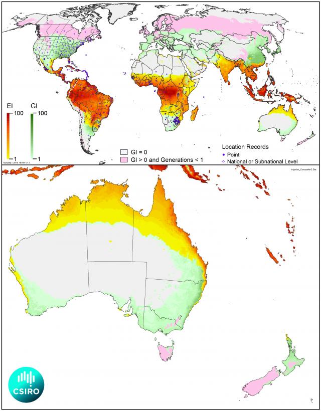 Map indicating modelling of the expected distribution of fall armyworm in Australia