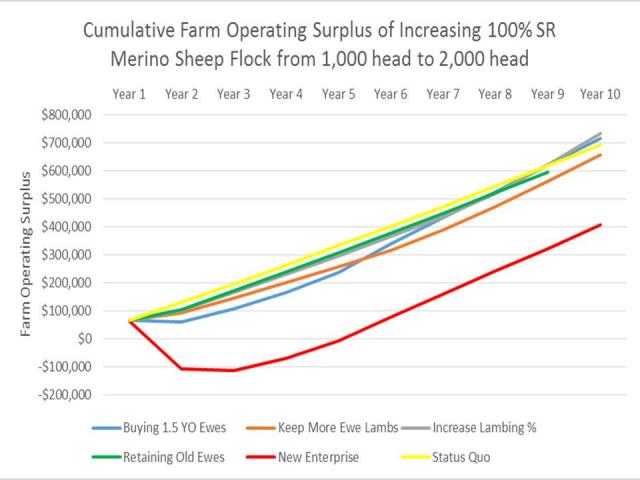 Cumulative Farm Operating Surplus analysis of the farm enterprise for a 100% Self -replacing Merino flock.