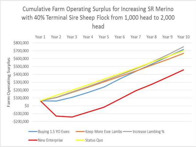 Cumulative Farm Operating Surplus analysis of the farm enterprise for a Merino flock with 40% Terminal Sire.