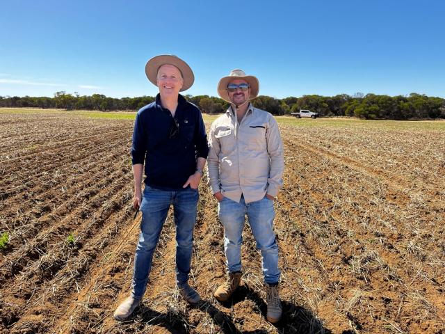 Dr Daniel Huberli (L) and Dr Ahmed Saad (R) at the recently sown trial site at Merredin. Image: DPIRD.