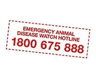 For unusual diseases call the Emergency Animal Hotline 1800 675 888