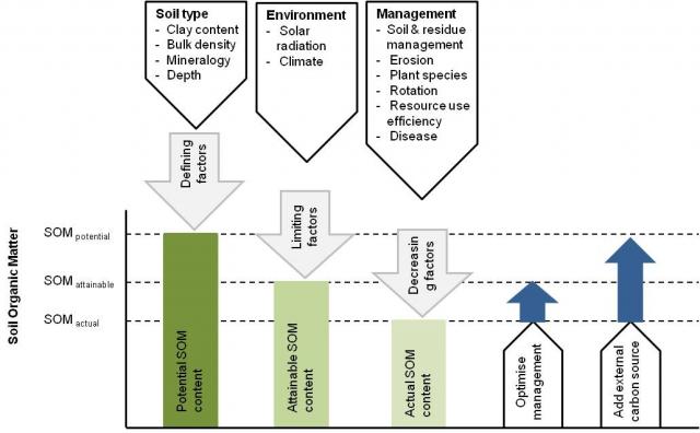 The influence of soil type, climate and management factors on potential soil organic matter content (after Ingram and Fernandes, 2001).