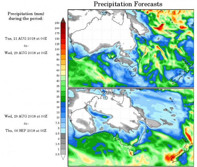 Map of Australia showing forecast rainfall from the NCEP model for 28 August to 6 September  2018