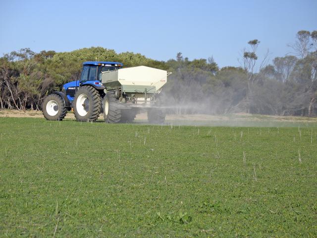 Spreading lime onto spring pasture at South Bodallin.
