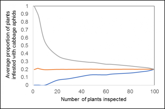 Figure 1. Resampling statistics from a flowering canola crop at New Norcia, WA, showing the maximum, minimum and overall average (middle line) from 1000 plant inspections for cabbage aphids throughout the crop.