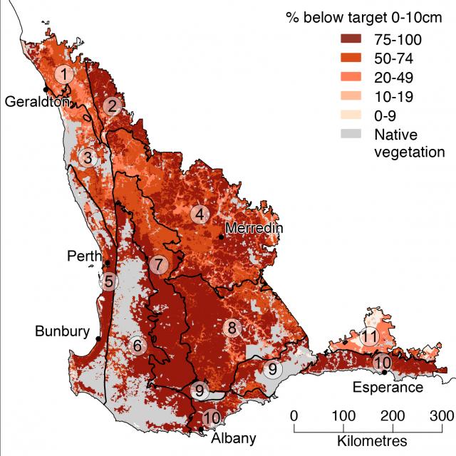 Map of agriculutral soil zones in Western Australia showing the extent of soil acidity.