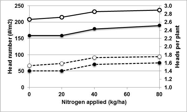 Figure 1  Buntine: Head numbers per m2 (solid line) and heads per plant (dotted line) for barley (white circles) and wheat (black circles) with added nitrogen (kg/ha) at Buntine in 2014.