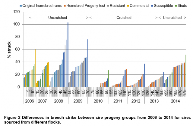 Differences in breech strike between sire progeny groups from 2006 to 2014 for sires sourced from different flocks.