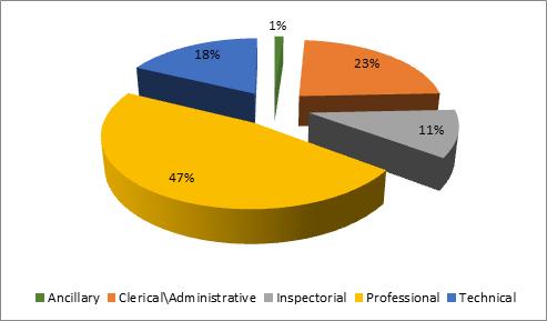 Pie chart showing percentage of staff in each of the various workfunctions: Ancilliary (1%) Clerical/Administrative (23%) Inspectorial (11%) Professional (47%) Technical (18%)