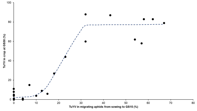Figure 6. Relationship between TuYV detected in migrating aphids caught on sticky traps and level of infection in the crop based on field validation across sites in Western Australia in 2017 and 2018 and Victoria in 2020.