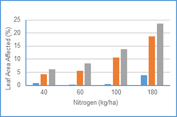 Figure 3: Impact of rates of applied nitrogen on powdery mildew in three varieties, Magenta (blue), Mace (orange) and Scepter (grey).