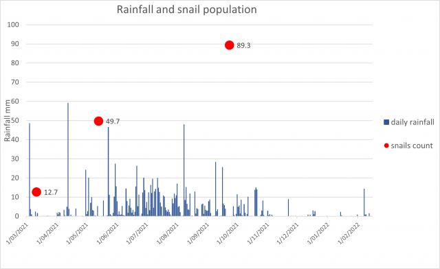 Figure 3. Daily rainfall and brown garden snail populations.