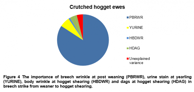 Figure 4 The importance of breech wrinkle at post weaning (PBRWR), urine stain at yearling (YURINE), body wrinkle at hogget shearing (HBDWR) and dags at hogget shearing (HDAG) in breech strike from weaner to hogget shearing.