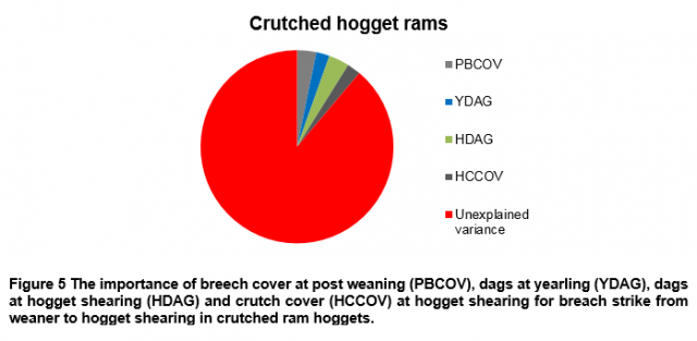 Figure 5 The importance of breech cover at post weaning (PBCOV), dags at yearling (YDAG), dags at hogget shearing (HDAG) and crutch cover (HCCOV) at hogget shearing for breach strike from weaner to hogget shearing in crutched ram hoggets.