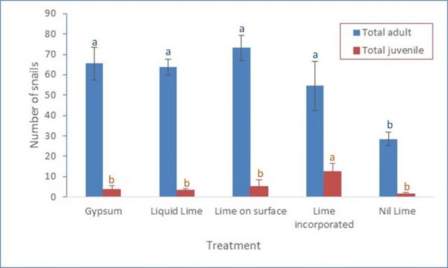 Figure 6: Average number of juvenile and adult snail’s ± SEM (standard error of the mean) in the five different treatments. Letters indicate significant differences (P<0.05) within categories (adult or juvenile).