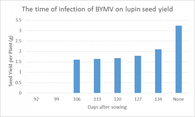 Figure 4. The impact time of infection has on lupin seed yield.