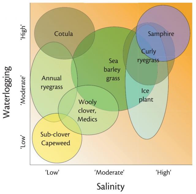Graphic showing the salinity and waterlogging tolerance of plant indicator species