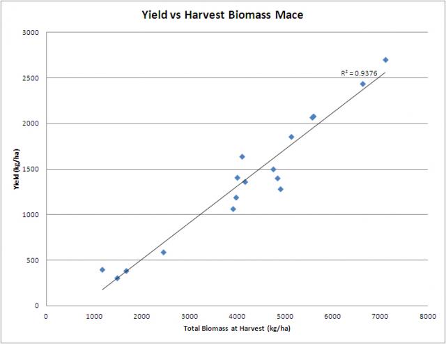 This chart shows the high correlation between grain yield vs total crop biomass at harvest from a Mace wheat grazing simulation site. The points on this line represent a range of simulated grazing treatments.