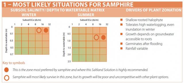 Showing the salinity and waterlogging levels that most suit samphire