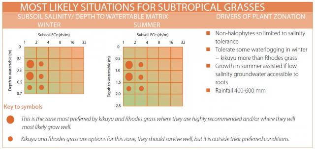 Graphic showing the most likely situation for Kikuyu and Rhodes grass with salinity and watertable depth