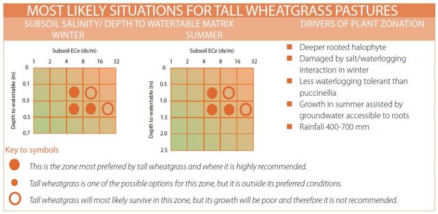Graphic showing the most likely situation for tall wheatgrass with salinity and watertable depth