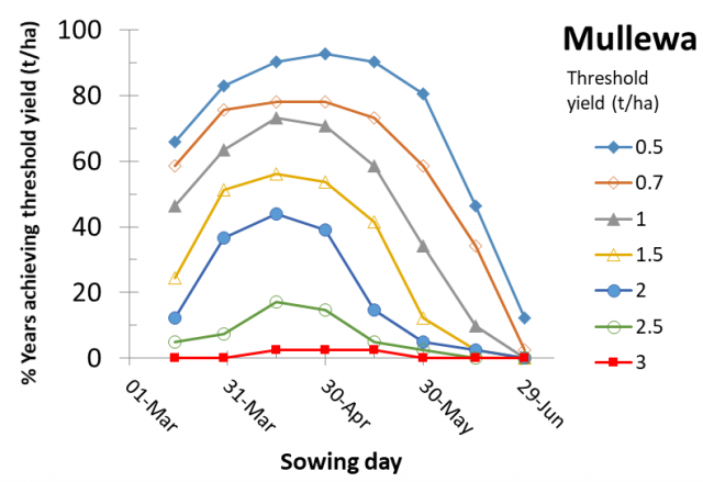 Figure 18 Mullewa risk profile for canola yields according to time of sowing
