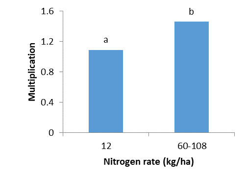 Multiplication of P. quasitereoides from seeding to harvest on basal nitrogen (12 kgN/ha) or pooled higher nitrogen (60-108 kgN/ha) in Mace wheat at Dumbleyung.