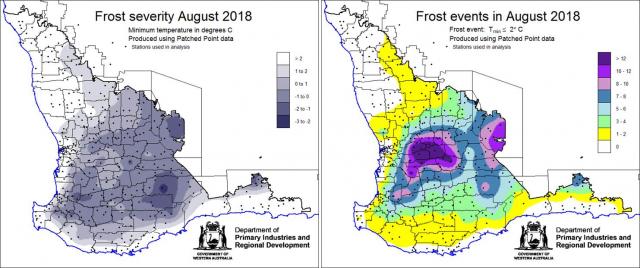 A map showing the extent of frost damage during August across the wheatbelt